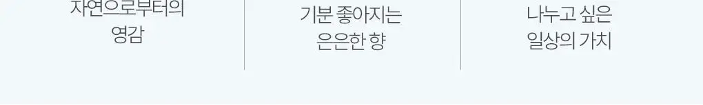 [NEW신상] 라운드어라운드 센티드 배쓰&스크럽 솔트 30g 3매 3종 상세페이지 4